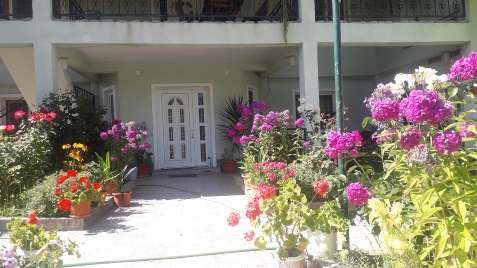 Casa Maria Retezat - accommodation in Hateg Country (Surrounding) Casa Maria Retezat - accommodation in Hateg Country (Surrounding)