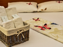 Vila Arjana - cazare Cazanele Dunarii, Clisura Dunarii (19)