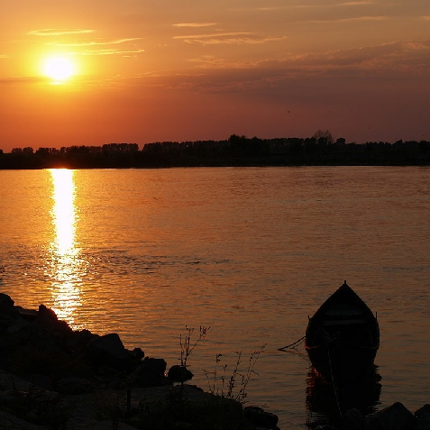 Pensiunea Crisana - accommodation in  Danube Delta (Surrounding)