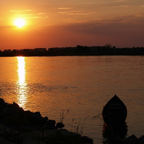 Pensiunea Crisana - cazare Delta Dunarii (Activitati si imprejurimi)