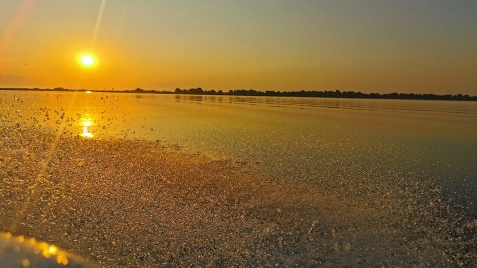 Pensiunea Crisana - accommodation in  Danube Delta (Surrounding)