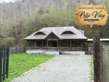 Rural accommodation at  Casa Petra Visag - Authentic Romanian Cottage