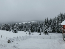 Cabana dintre Brazi 1 - alloggio in  Apuseni, Belis (15)