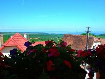 Pensiunea Iulia - accommodation in  Transylvania (03)