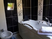 Pensiunea Iulia - accommodation in  Transylvania (18)