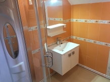 Pensiunea Iulia - accommodation in  Transylvania (19)