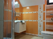 Pensiunea Iulia - accommodation in  Transylvania (39)