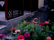 Pensiunea Iulia - accommodation in  Transylvania (41)