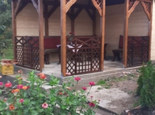 Pensiunea Iulia - accommodation in  Transylvania (42)