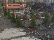 Pensiunea Iulia - accommodation in  Transylvania (67)