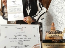 Pensiunea Iulia - accommodation in  Transylvania (73)
