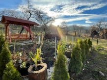 Pensiunea Iulia - accommodation in  Transylvania (84)