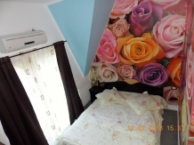 Pensiunea Lina - accommodation in  Moldova (23)