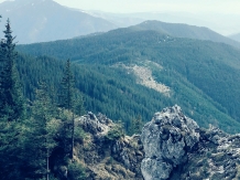 Pensiunea Lacramioara - accommodation in  Vatra Dornei, Bucovina (06)