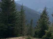 Pensiunea Lacramioara - accommodation in  Vatra Dornei, Bucovina (07)