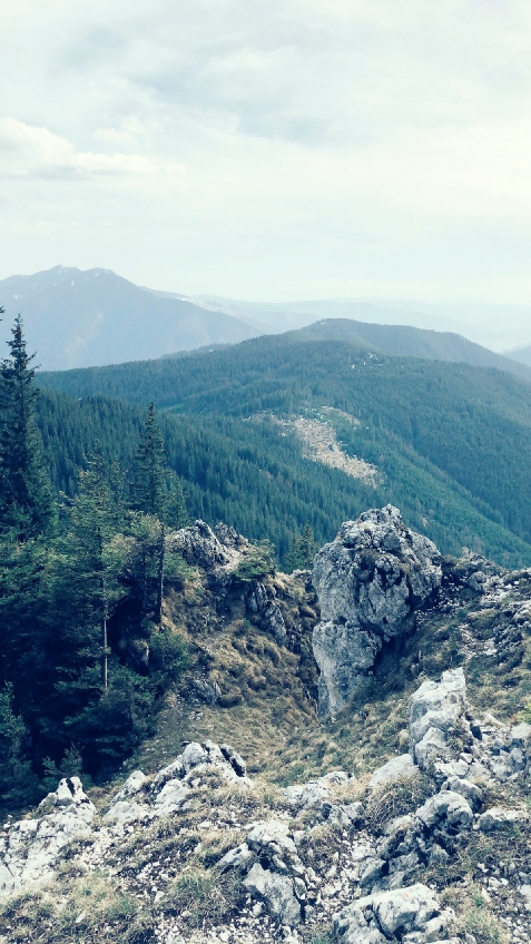 Pensiunea Lacramioara - cazare Vatra Dornei, Bucovina (Activitati si imprejurimi) Pensiunea Lacramioara - cazare Vatra Dornei, Bucovina (Activitati si imprejurimi)
