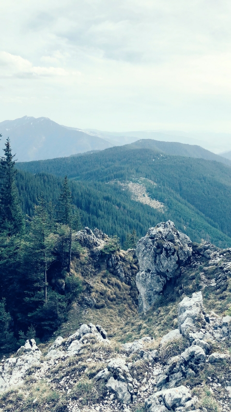 Pensiunea Lacramioara - accommodation in  Vatra Dornei, Bucovina (Surrounding)