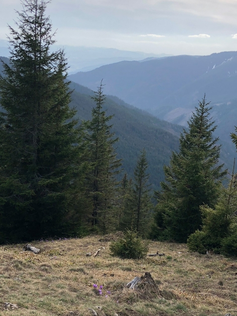 Pensiunea Lacramioara - cazare Vatra Dornei, Bucovina (Activitati si imprejurimi)