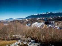 Pensiunea In Deal la Lupi - cazare Rucar - Bran, Moeciu (35)