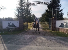 Hanul Lupilor - alloggio in  Rucar - Bran, Rasnov (04)