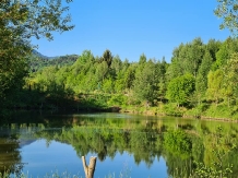 Hanul Lupilor - alloggio in  Rucar - Bran, Rasnov (06)