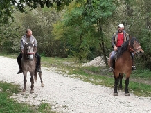 Hanul Lupilor - alloggio in  Rucar - Bran, Rasnov (47)