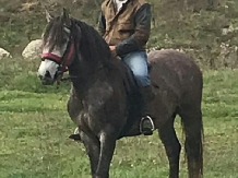 Hanul Lupilor - cazare Rucar - Bran, Rasnov (51)