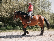 Hanul Lupilor - cazare Rucar - Bran, Rasnov (52)