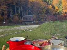 Hanul Lupilor - cazare Rucar - Bran, Rasnov (72)