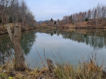 Hanul Lupilor - alloggio in  Rucar - Bran, Rasnov (91)