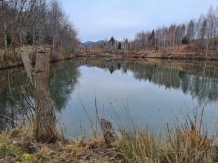 Hanul Lupilor - alloggio in  Rucar - Bran, Rasnov (100)