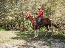 Hanul Lupilor - alloggio in  Rucar - Bran, Rasnov (126)