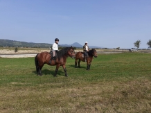 Hanul Lupilor - cazare Rucar - Bran, Rasnov (127)