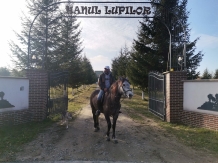 Hanul Lupilor - alloggio in  Rucar - Bran, Rasnov (128)