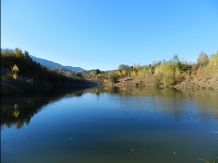 Hanul Lupilor - cazare Rucar - Bran, Rasnov (204)