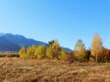 Hanul Lupilor - alloggio in  Rucar - Bran, Rasnov (207)