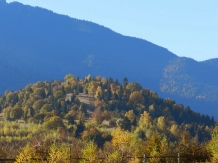 Hanul Lupilor - cazare Rucar - Bran, Rasnov (210)