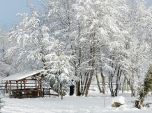 Hanul Lupilor - alloggio in  Rucar - Bran, Rasnov (219)