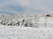 Hanul Lupilor - alloggio in  Rucar - Bran, Rasnov (221)