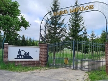 Hanul Lupilor - alloggio in  Rucar - Bran, Rasnov (245)
