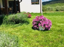 Pensiunea Morarita - accommodation in  Transylvania (03)