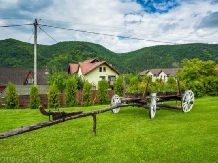 Casa Adrel - accommodation in  Apuseni Mountains (03)