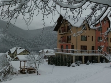Casa Adrel - accommodation in  Apuseni Mountains (29)