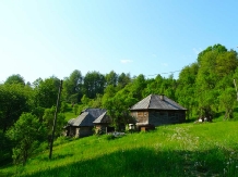 Pensiunea Acasa in Maramures - cazare Tara Maramuresului (26)