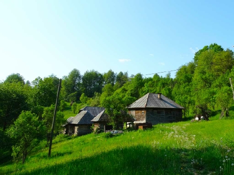 Pensiunea Acasa in Maramures - alloggio in  Tara Maramuresului (Attivit&agrave; e i dintorni)