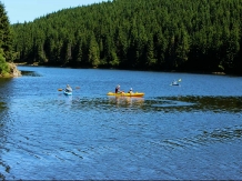 Poiana Soarelui - alloggio in  Apuseni, Belis (37)