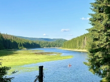 Poiana Soarelui - alloggio in  Apuseni, Belis (38)