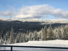 Poiana Soarelui - alloggio in  Apuseni, Belis (40)