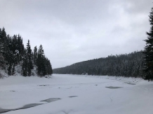 Poiana Soarelui - alloggio in  Apuseni, Belis (41)