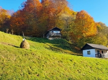 Satu Muscelean - alloggio in  Rucar - Bran (05)